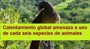 calentamiento-Global-Diego-Mora