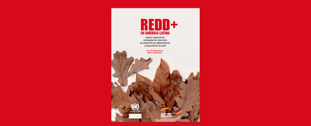 REDD en América Latina
