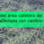 cafeteros-cambio-climatico