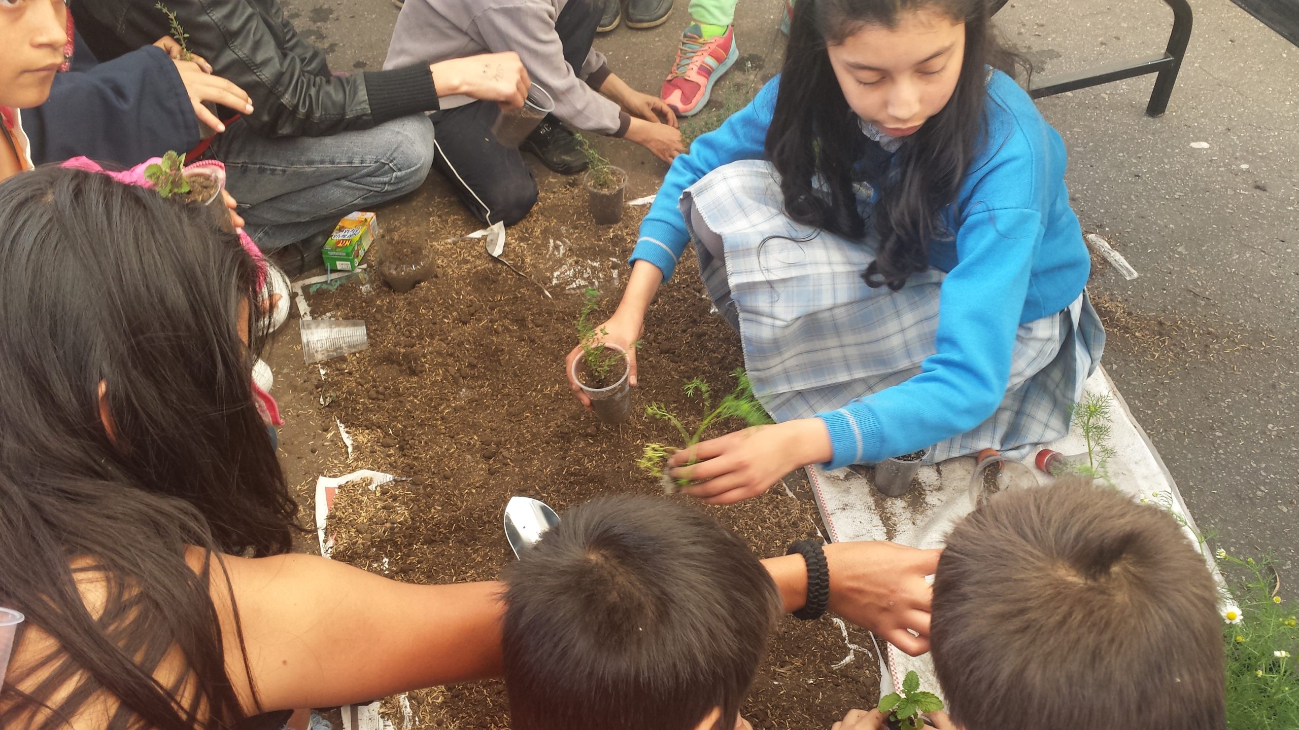 Niños, niñas y adolescentes de Colombia y América presentan sus experiencias frente al Cambio Climático
