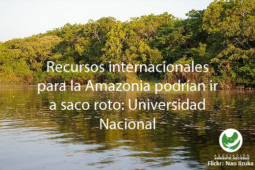 Recursos internacionales para la Amazonia podrían ir a saco roto: Universidad Nacional