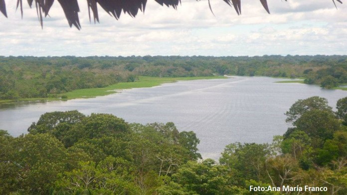 Amazonas1_Ana_Franco