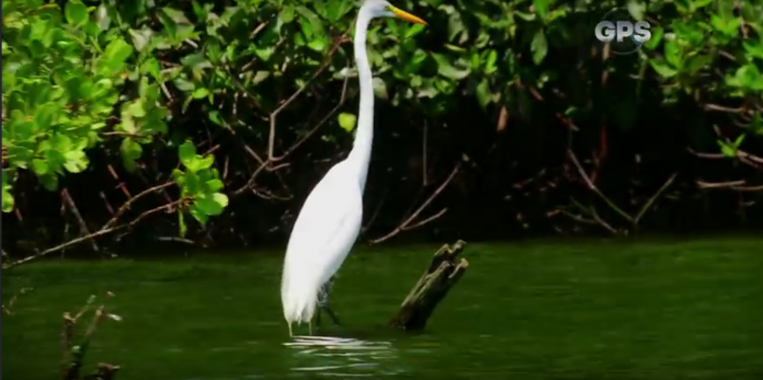 GPS-Cienaga-santa-marta