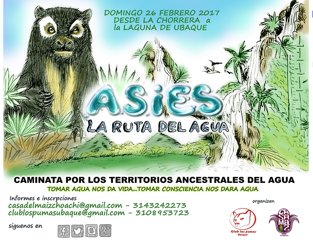 Un plan para conectarte al ciclo del agua – ASIES por las rutas del agua