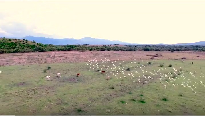 Programa Foro Nacional: Agrobiodiversidad y derecho Humano a la alimentación adecuada