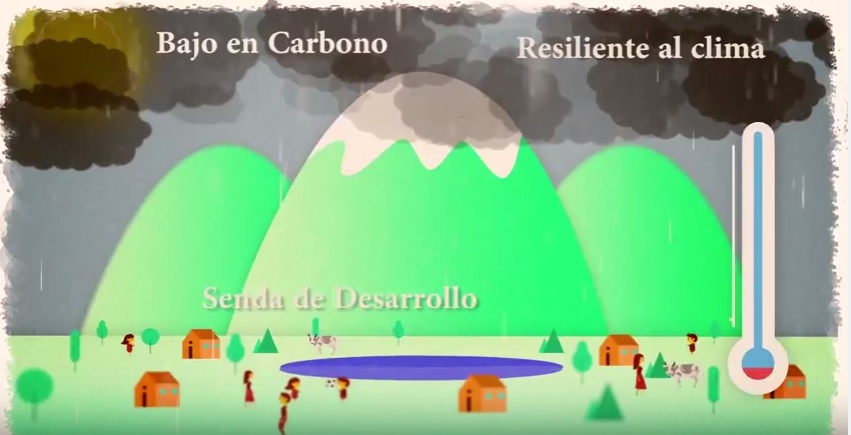 Consulte aquí la Política Nacional de Cambio Climático