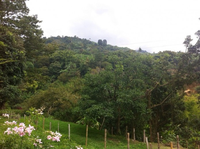 derechos_tierra_naturaleza_indigenas_campesinos_mujeres