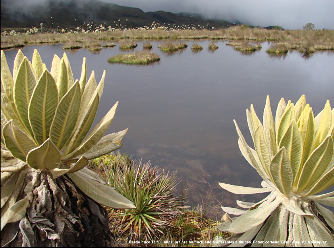 Urge proteger a los defensores del medio ambiente en América Latina