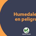 humedales-colombia-amenazas-agua-megaproyectos