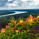 rio_inirida-andrea-prieto