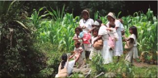 Colombia está perdiendo sus bosques, ¿por qué no trabajar con las comunidades, desde su saber ancestral para monitorear el territorio?