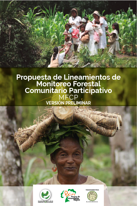 Colombia está perdiendo sus bosques, ¿por qué no trabajar con las comunidades, desde su saber ancestral para monitorear el territorio?