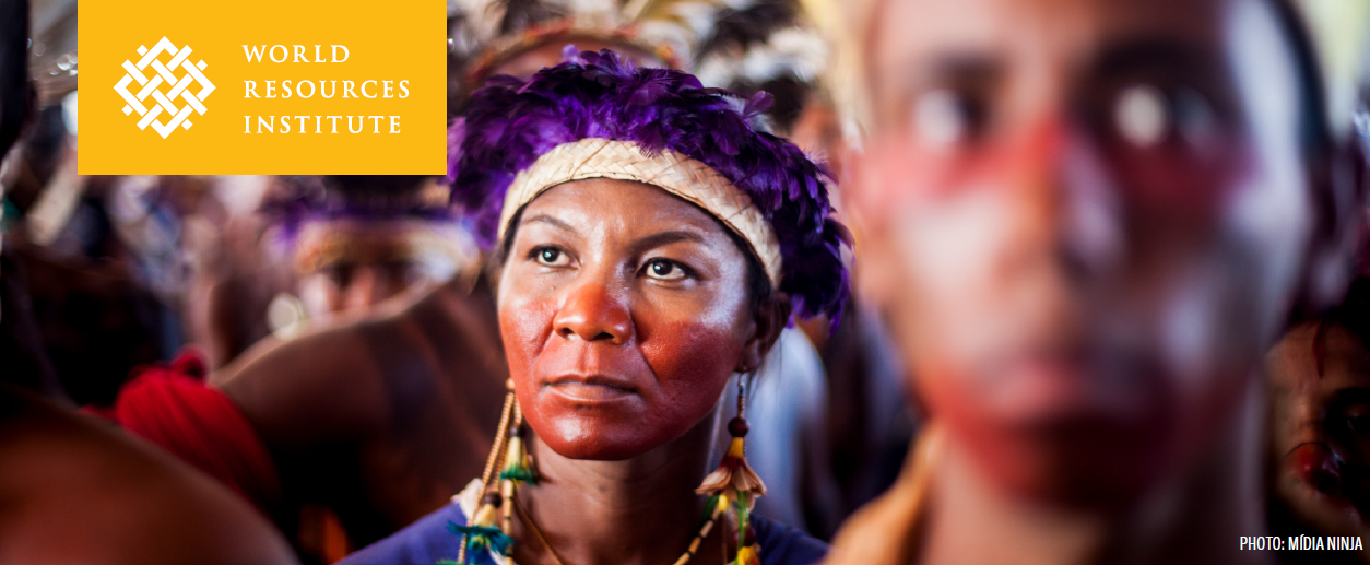 The Escazú convention: a historic step forward for enviromental rights in Latin America and the Caribbean