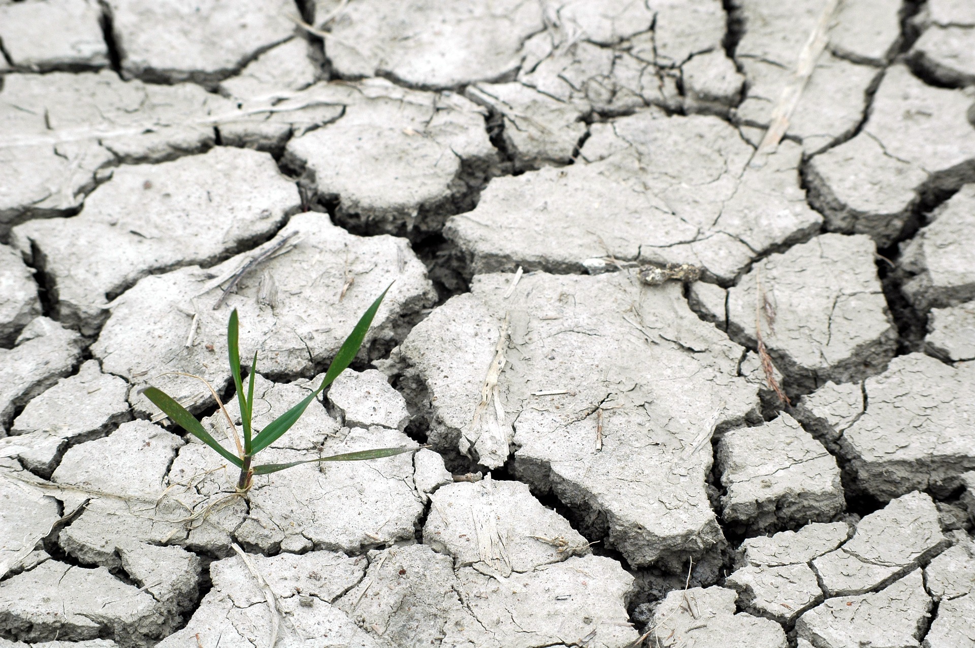 El cambio climático mantiene un paso acelerado
