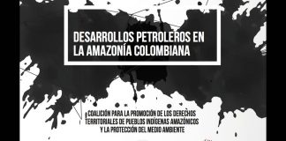 Desarrollos petroleros en la amazonía colombiana