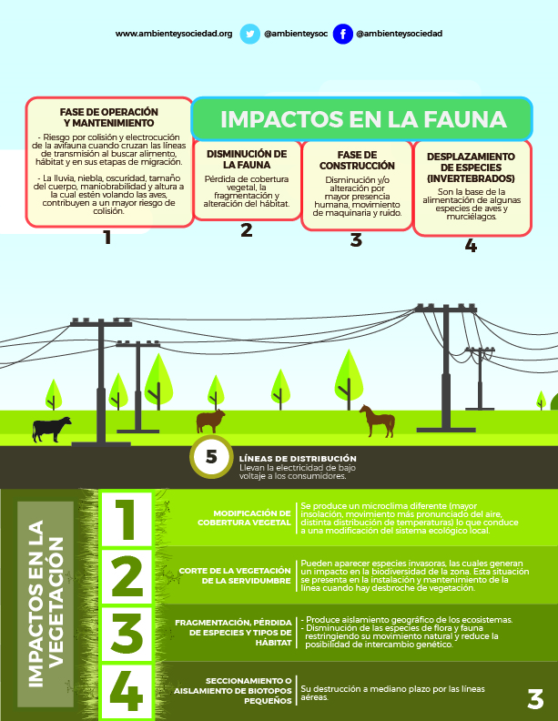 Infografía Impactos ambientales Proyectos eléctricos Sabana Bogota Ambiente y Sociedad 03
