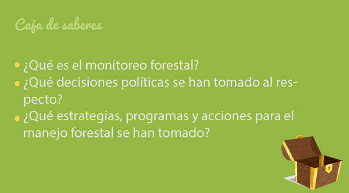 Encuentra aquí qué es el monitoreo forestal, la sostenibilidad de esta estrategia y la participación de las comunidades.