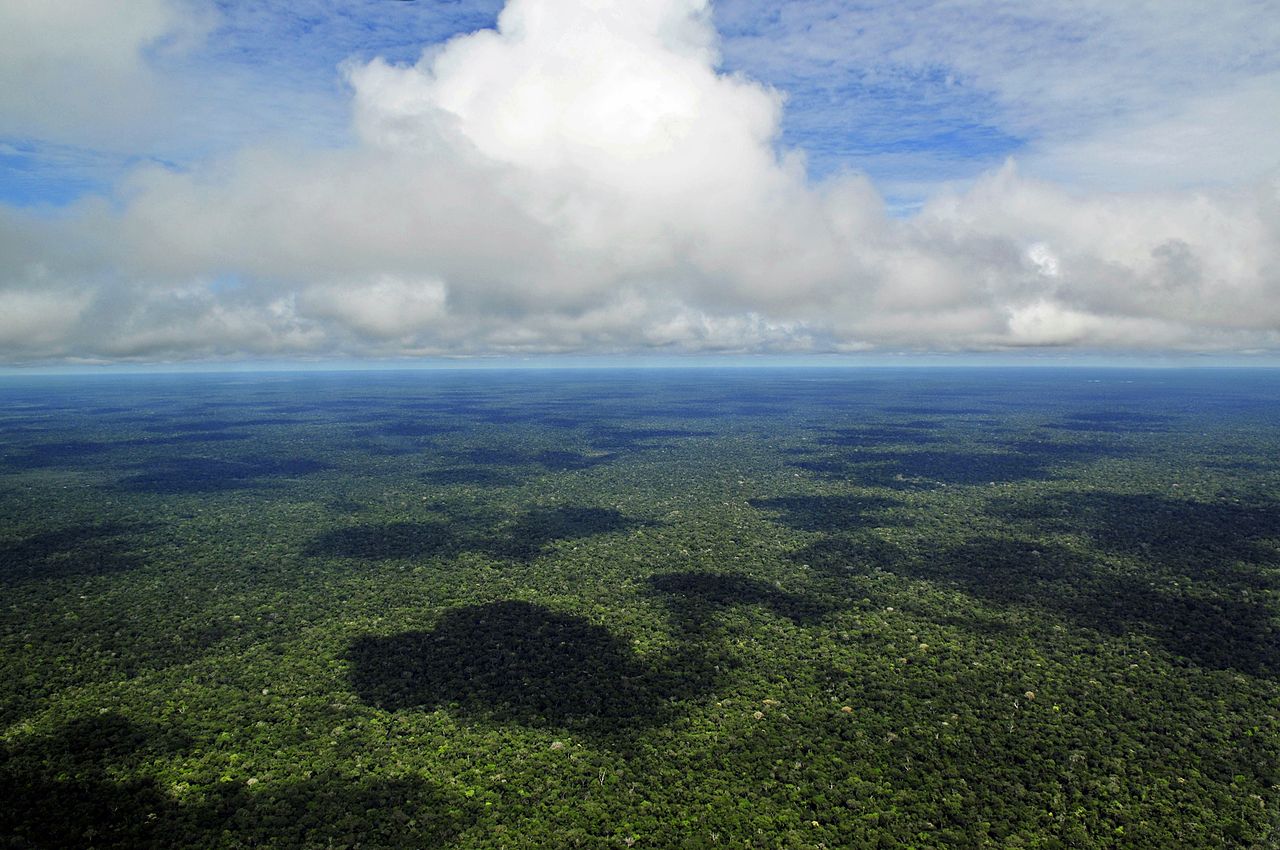 Ordenamiento Territorial en la Amazonía: caso de los PDET