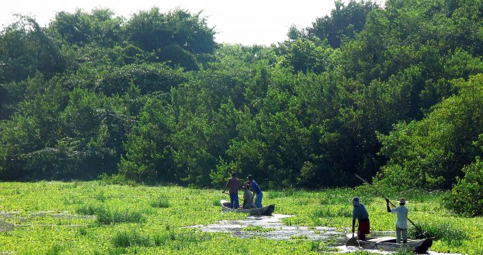 Piden que Colombia firme acuerdo internacional para proteger a líderes ambientales