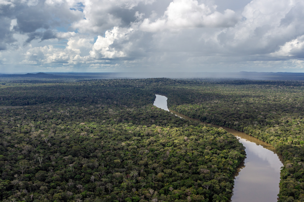Un millón de personas pide a la Fiscalía que investigue crímenes ambientales en la Amazonía