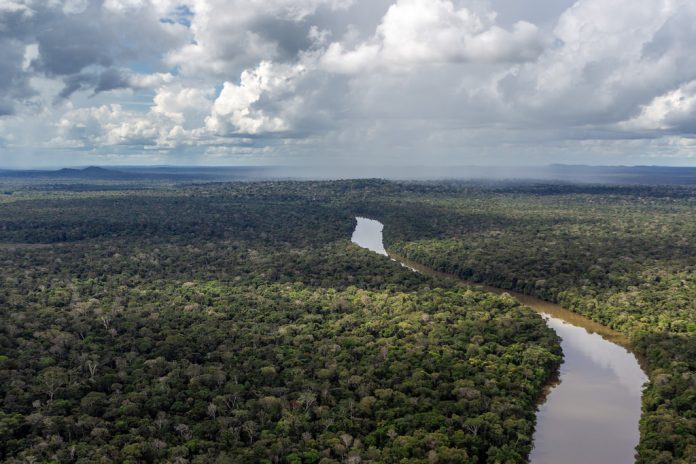 Un millón de personas pide a la Fiscalía que investigue crímenes ambientales en la Amazonía (2)