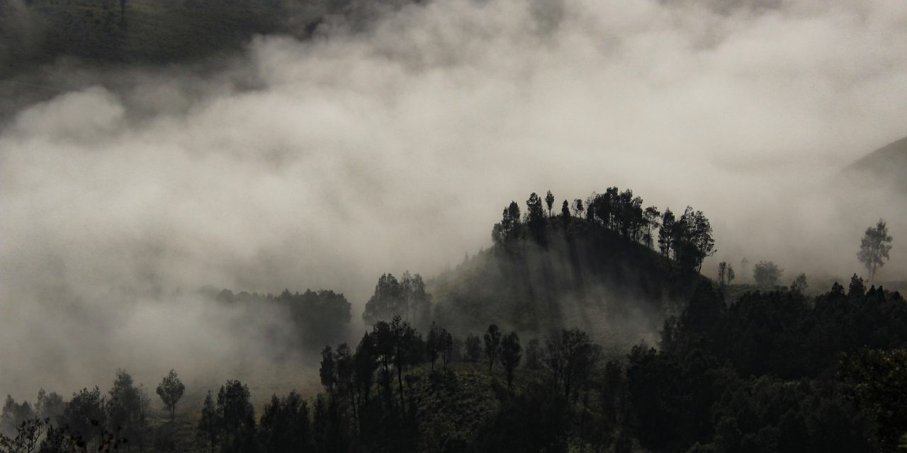 Vías terciarias: otra forma de penetrar el corazón de la selva colombiana