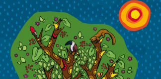 Colombia y el Acuerdo de Escazú