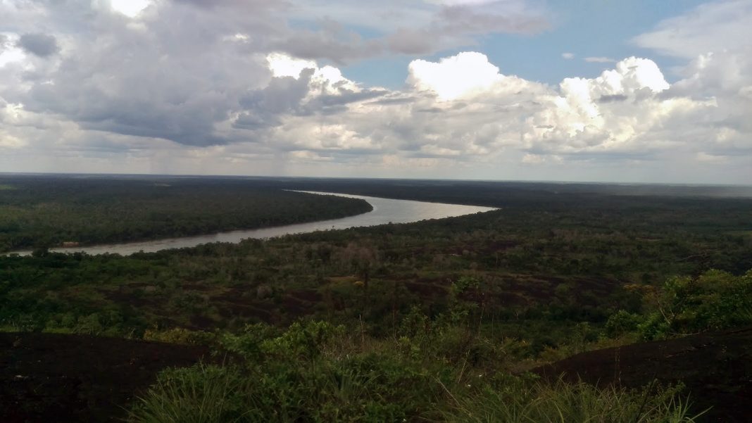 Pagos por servicios ambientales, la próxima tarea para la Amazonía