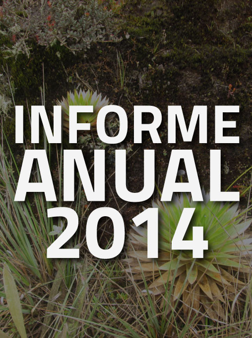 Informe de labores 2014