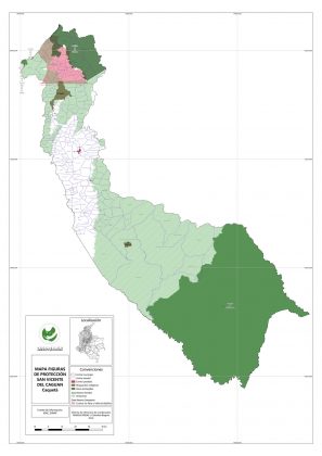 Mapa Figuras de protecci&oacute;n en San Vicente del Cagu&aacute;n - Caquet&aacute;