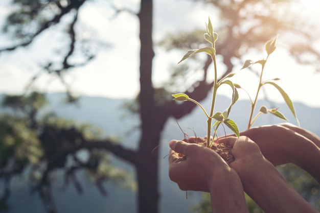 Decreto 348: Promoción de los derechos de la naturaleza, la protección de ecosistemas estratégicos en Nariño