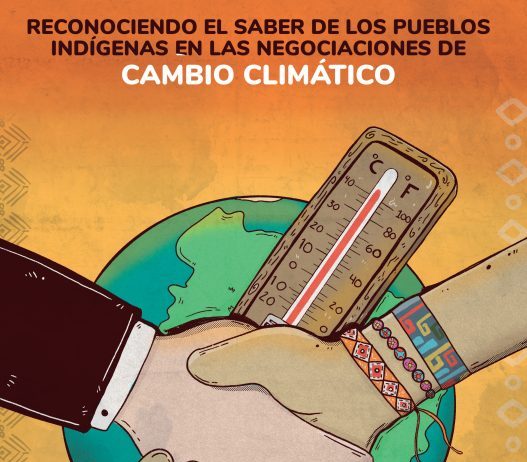 Reconociendo el saber de los Pueblos indígenas en las negociaciones de Cambio Climático