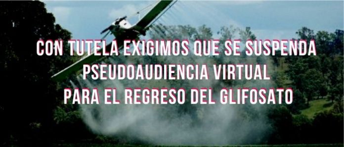 tutela_glifosato_suspension_audiencia