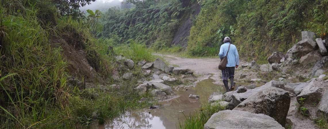 La carretera que quiere entrar a una reserva forestal y a territorios indígenas