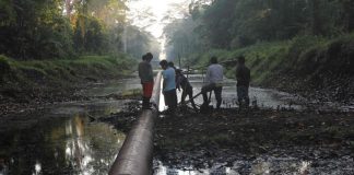 Avanza la frontera extractiva en la Amazonía
