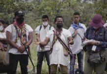 Si los indígenas son clave para combatir el cambio climático, ¿por qué Colombia no escucha?
