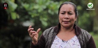 “El Estado nunca ha llegado a nuestros territorios”: comunidades indígenas