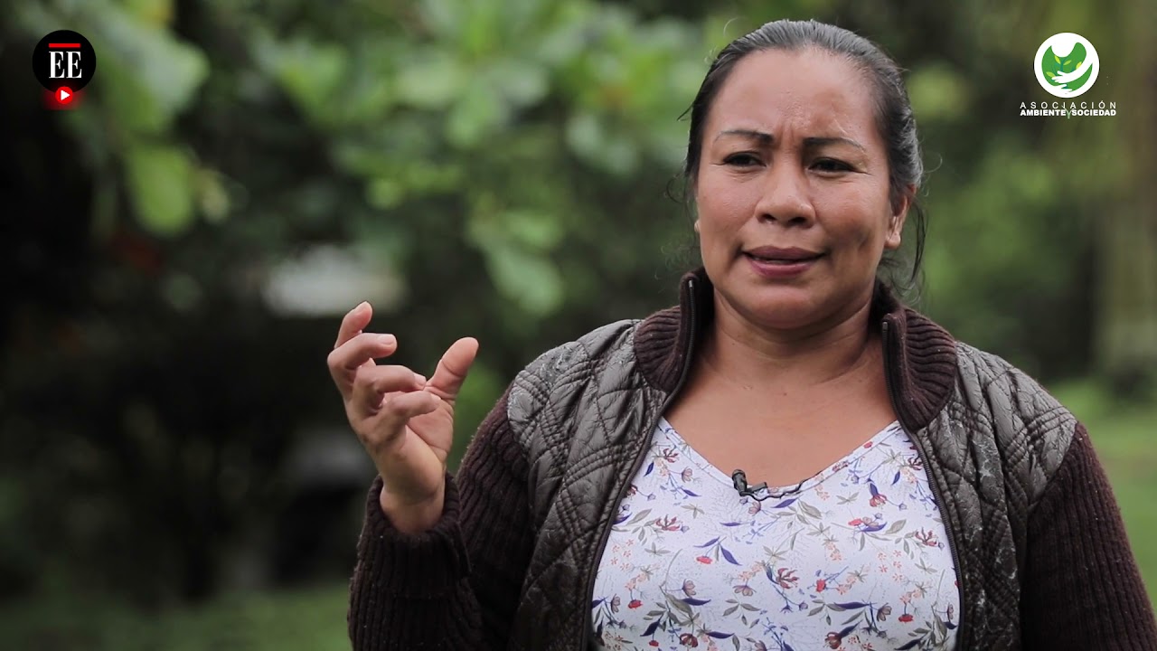 “The State has never come to our territories”: indigenous communities