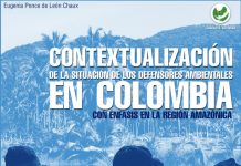 Contextualización de la situación de los defensores ambientales en Colombia