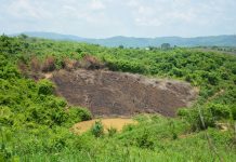 ¿Cuál es la nueva estrategia de Petro para combatir la deforestación en Colombia?