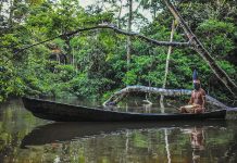 El papel de los pueblos indígenas en la protección de la diversidad biológica