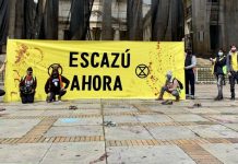 “Si los ciudadanos no estamos atentos a que se implemente el Acuerdo de Escazú, el Acuerdo se va a morir” | ENTREVISTA