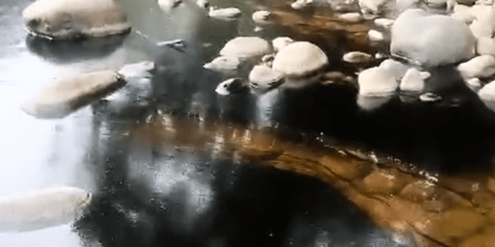 Diseño sin título (3)