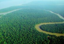 Comunicado de prensa: Avances y pendientes en la participación dentro de la OTCA en el marco de la V Cumbre de Presidentes Amazónicos