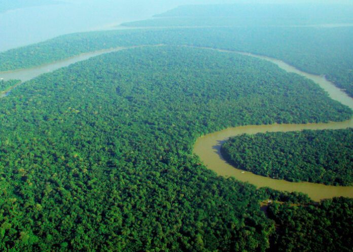 amazonia