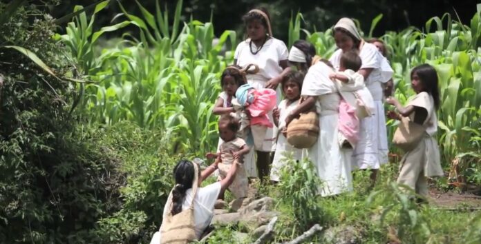 Arahuacos-Sierra Nevada Santa Marta_Foto William Martinez