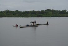 Litigio Climático: Un camino hacia la garantía del derecho a un Ambiente Sano