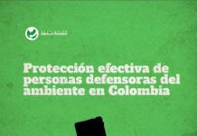 Protección efectiva de personas defensoras del ambiente en Colombia