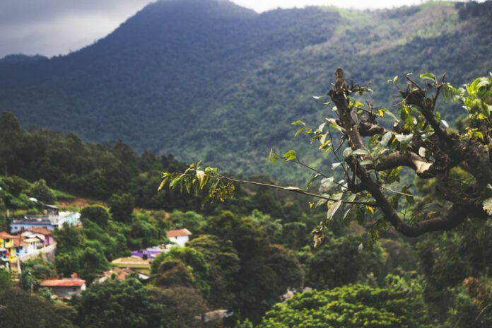 Portada Chocó