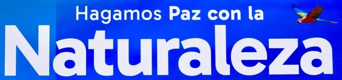 Portada paz con naturaleza